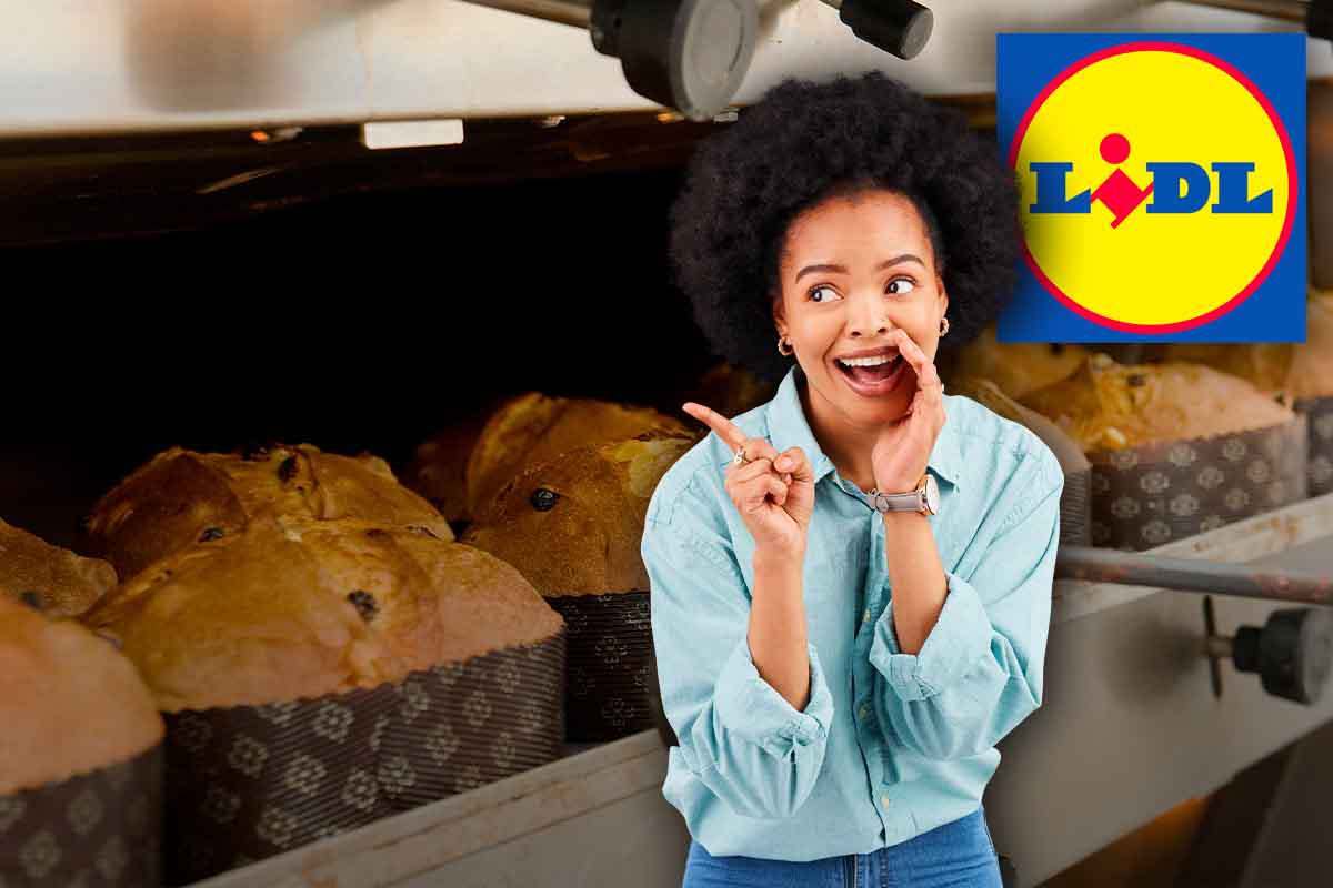 Panettoni Lidl a meno di 5 euro-ingredienti e provenienza