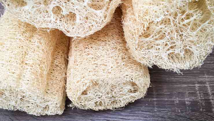 Fare la doccia con Spugna di luffa