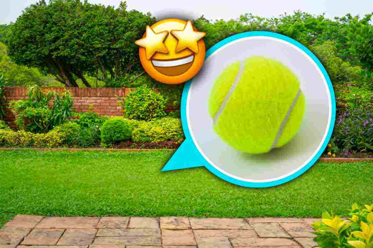 Cosa fare con le vecchie palline da tennis