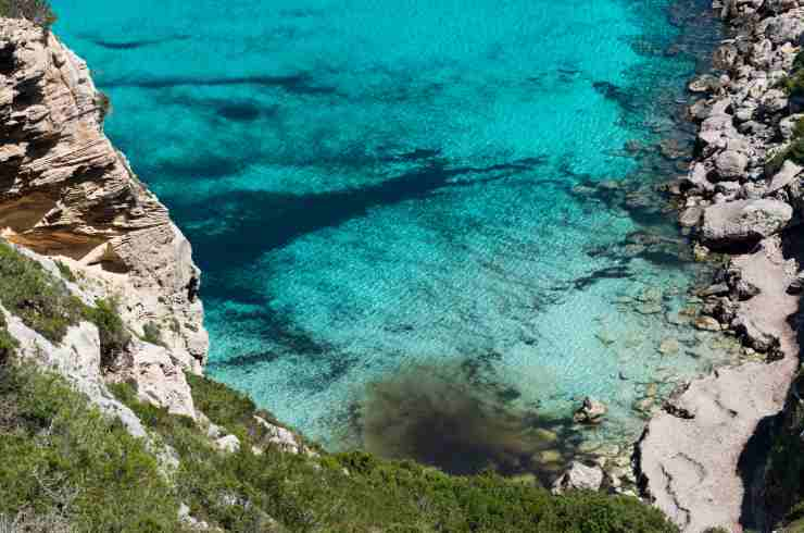 Formentera quasi gratis, offerta imperdibile