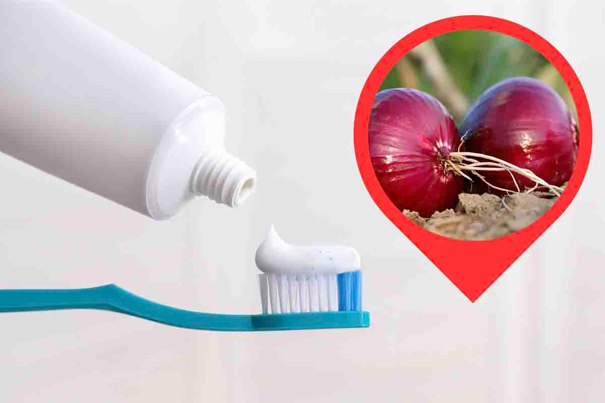 Cipolla dentifricio rimedio problemi casa 