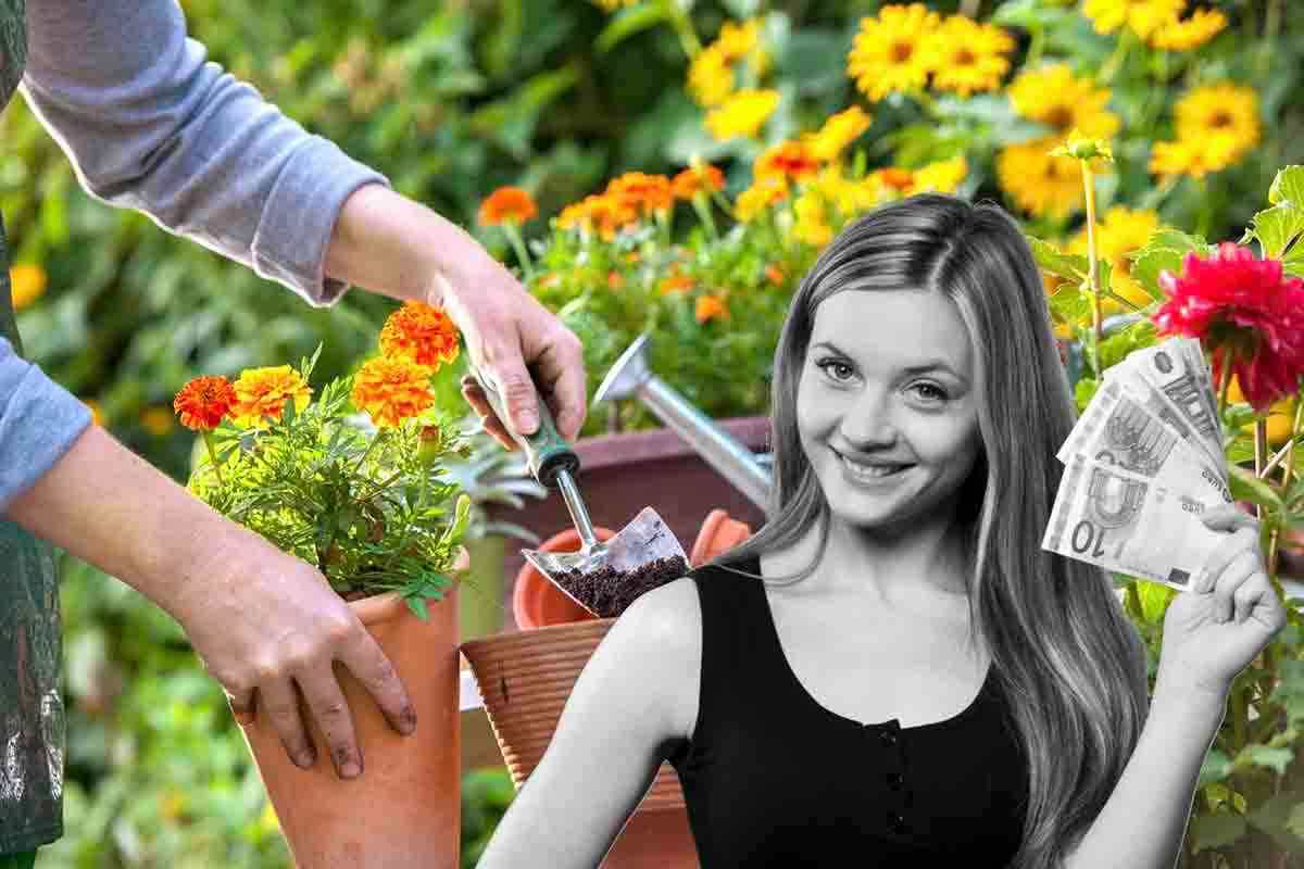 Giardino da LIDL