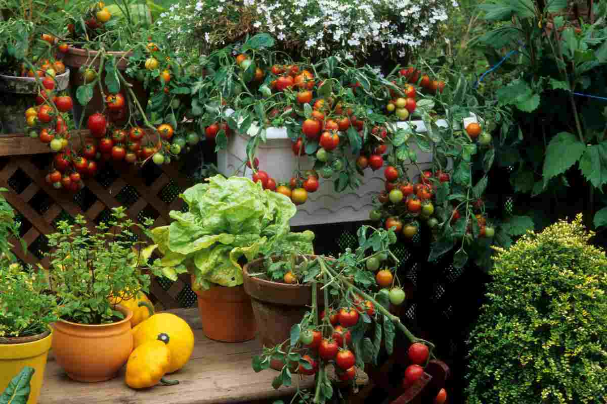 Come fare un orto in balcone