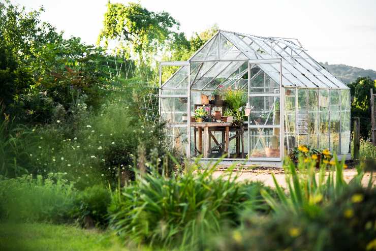 Deve essere il giardino più bello