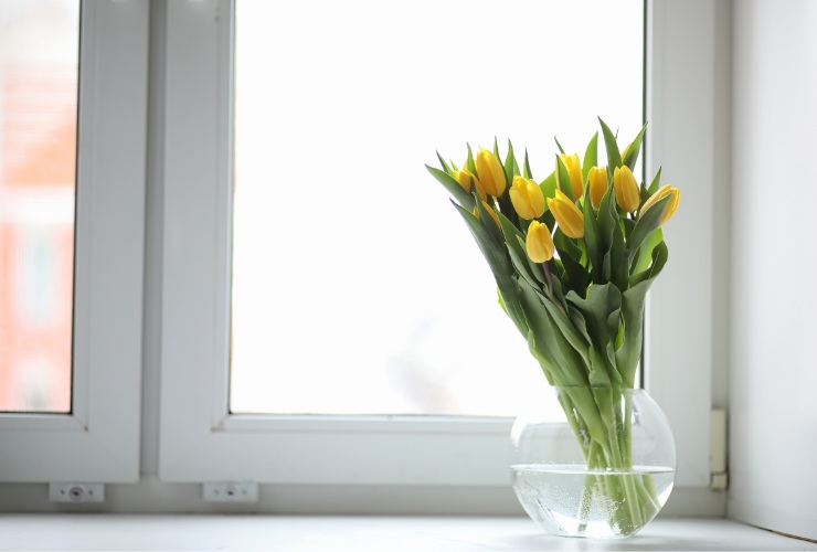 Il vaso va tenuto in un luogo fresco, non direttamente esposto ai raggi del sole