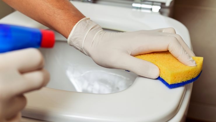 Come usare l'aceto per pulire wc
