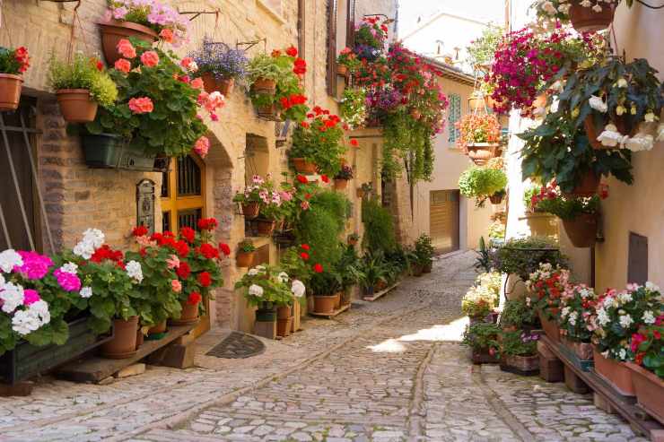 Visita il Borgo dei fiori in Primavera 