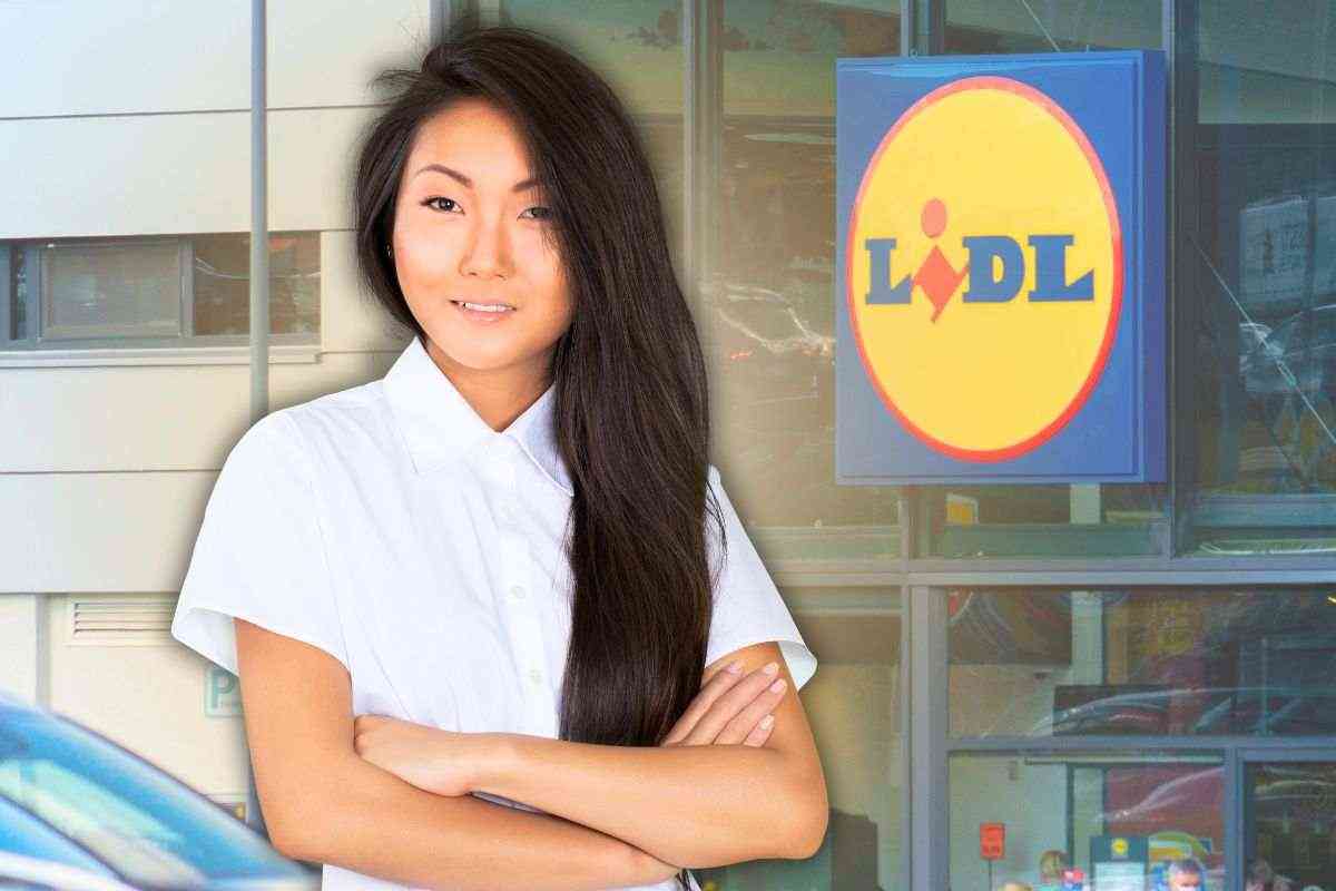 LIDL apre un nuovo punto vendita e cerca personale anche senza esperienza e diplomati