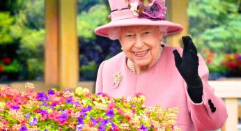Piante primaverili per il balcone, questa era la preferita della Regina Elisabetta: porta anche tanta fortuna