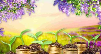 La primavera è finalmente arrivata: sfrutta il bonus verde per abbellire il tuo terrazzo o giardino
