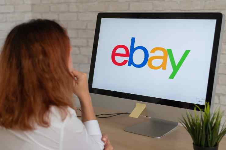 coupon 100 euro su ebay