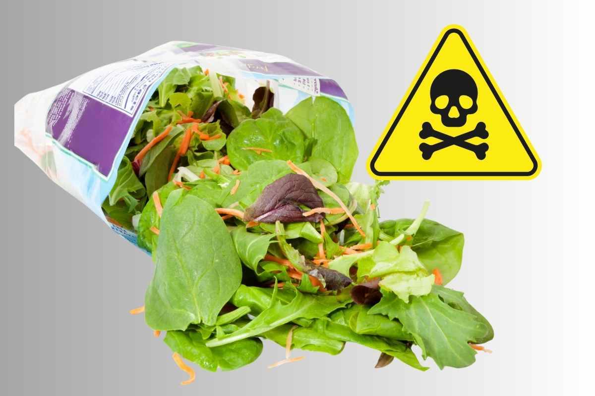 pesticidi e cloro nelle insalate in busta