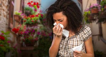 Basta allergia primaverile: elimina immediatamente queste piante da casa tua e non soffrirai più