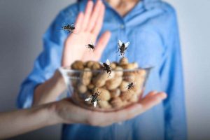 come eliminare le mosche che attaccano la frutta