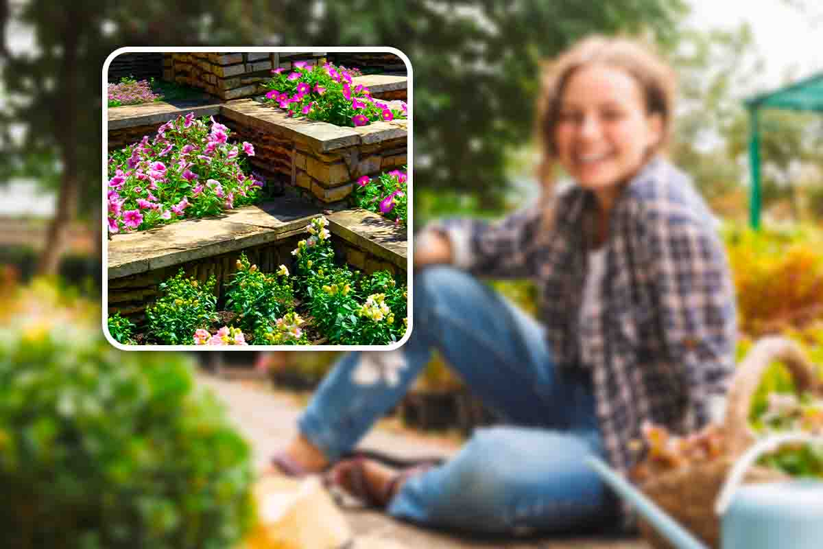Fate così per avere un giardino colorato e rigoglioso, i 6 consigli