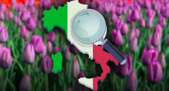 Ha riaperto in Italia uno dei parchi più belli, è pieno di tulipani: un’esperienza unica da fare di questi periodi