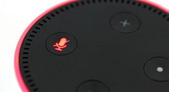 Alexa ha il pollice verde: il nuovo aggiornamento servirà anche alle tue piante